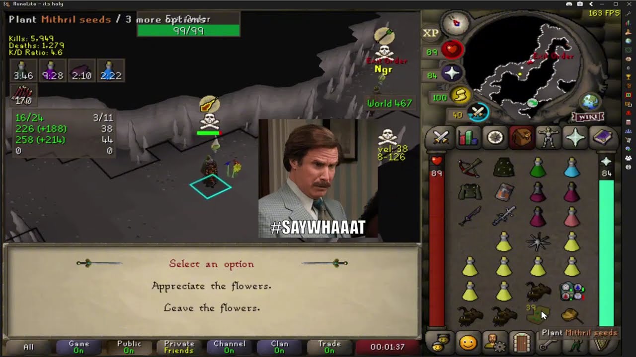 wildy executioner
