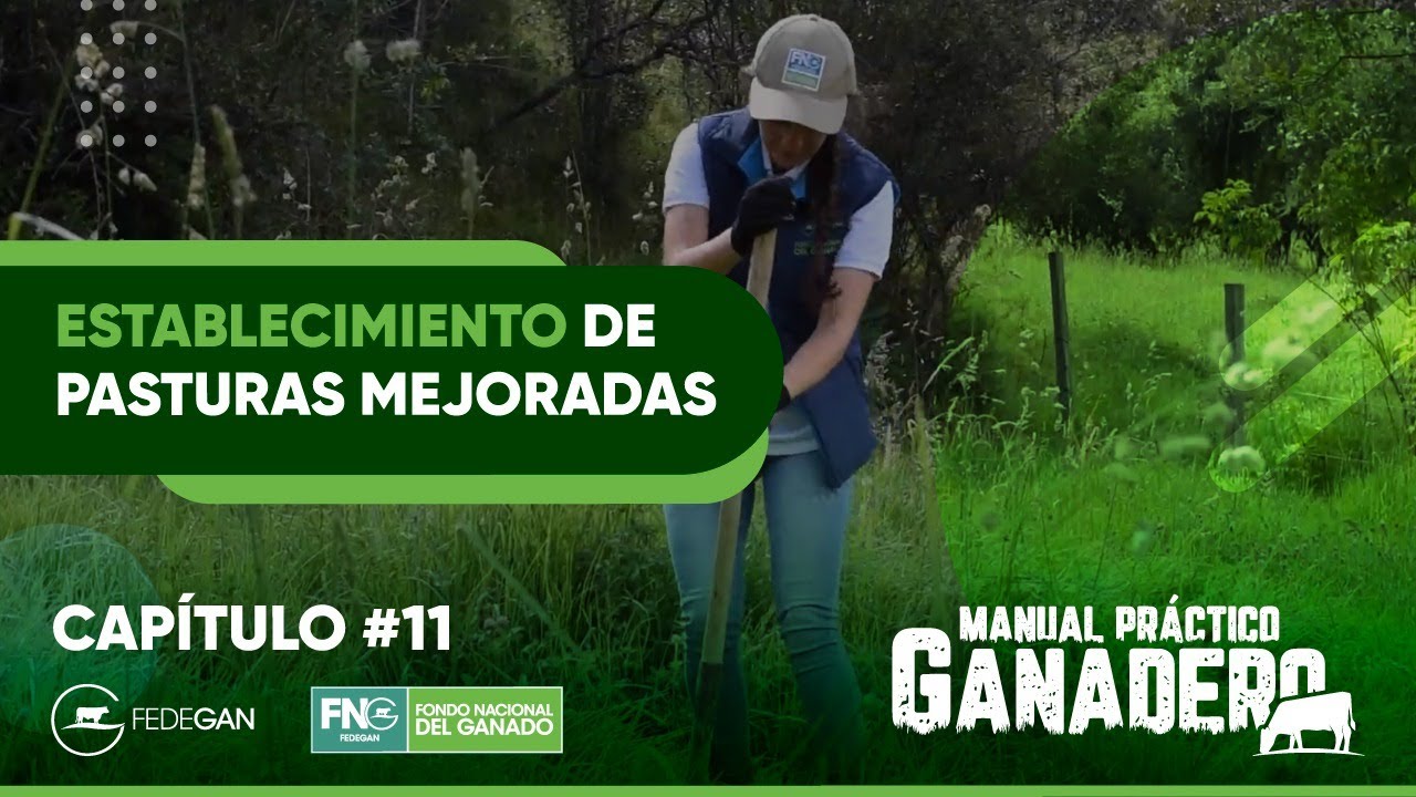 Capítulo 11 #ManualPracticoGanadero - Establecimiento de pasturas mejoradas