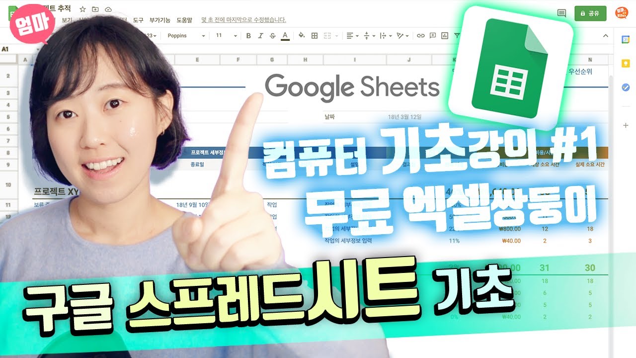 구글 시트로 회계 장부/ 가계부 작성하기 | 구글 스프레드시트 왕초보 | 컴퓨터 기초상식 | 엑셀 기초 | 엑셀과 쌍둥이 Google sheets
