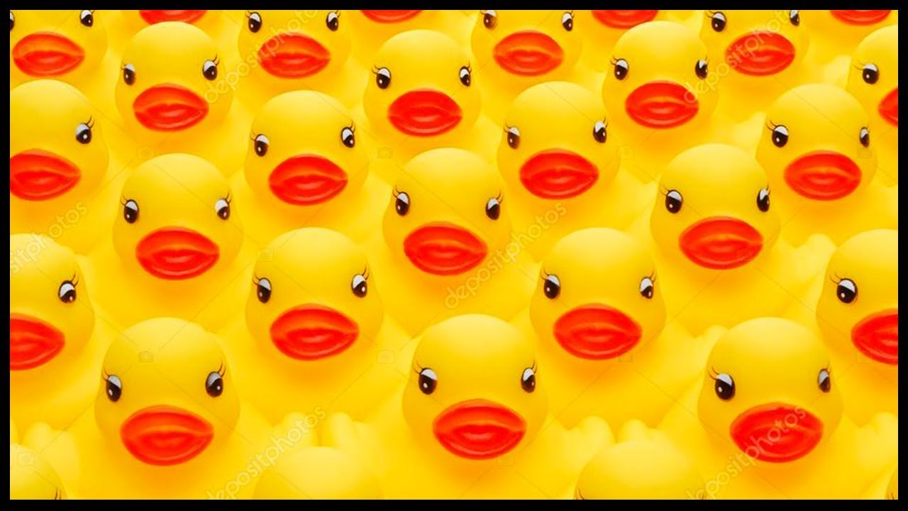 Foarte multe Rățuște !