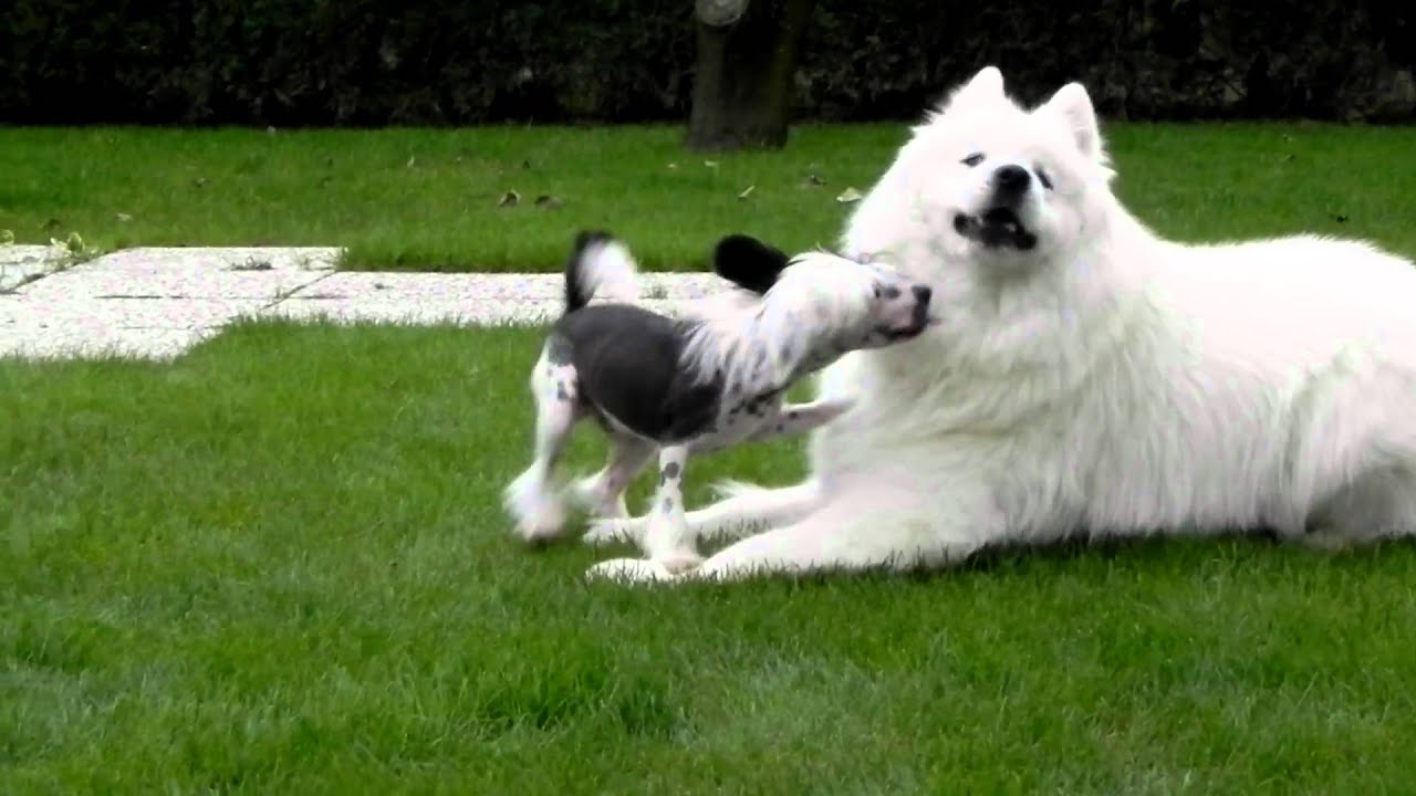 How to play with a different size fellow:)
