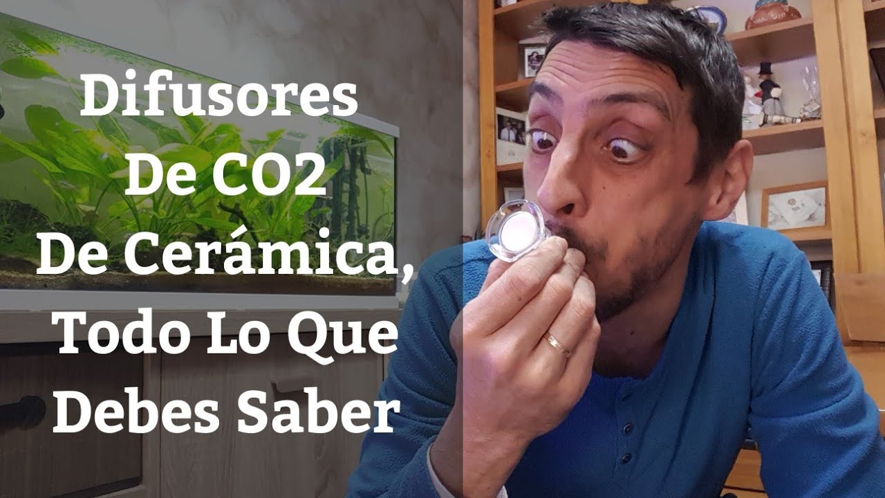 🔵 Difusores De CO2 De Cerámica Para Acuario,Todo Lo Que Debes Saber (Acuarios MB)