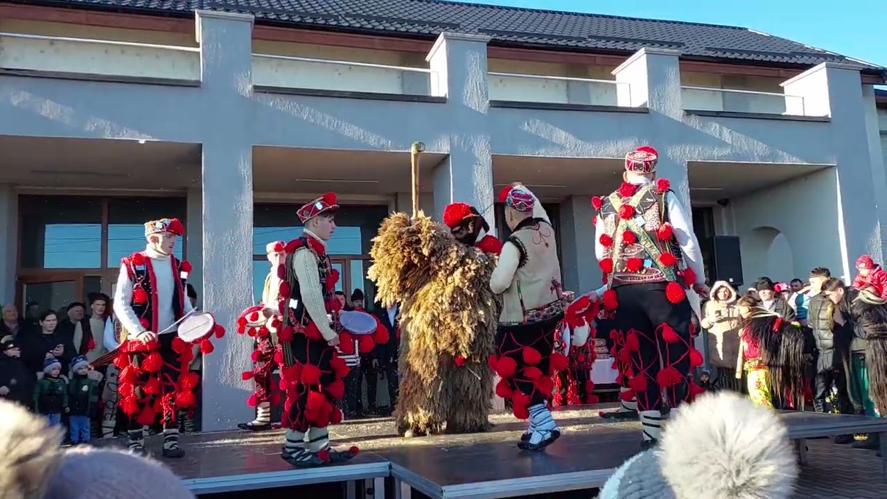 Ursul de la Bădeni din comuna Scobinți, județul Iași...❤️🐻🥰🎄🎉🎶
