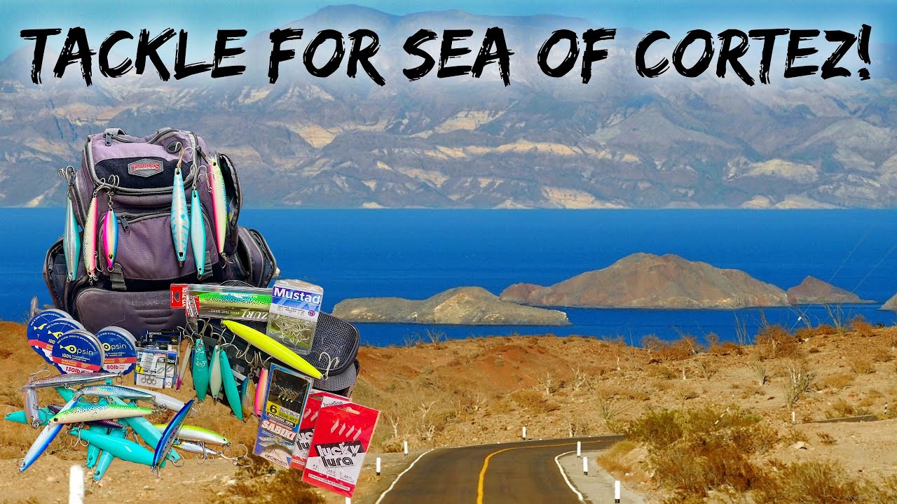 Tony Reyes / Sea of Cortez / Tackle Bag Break Down!