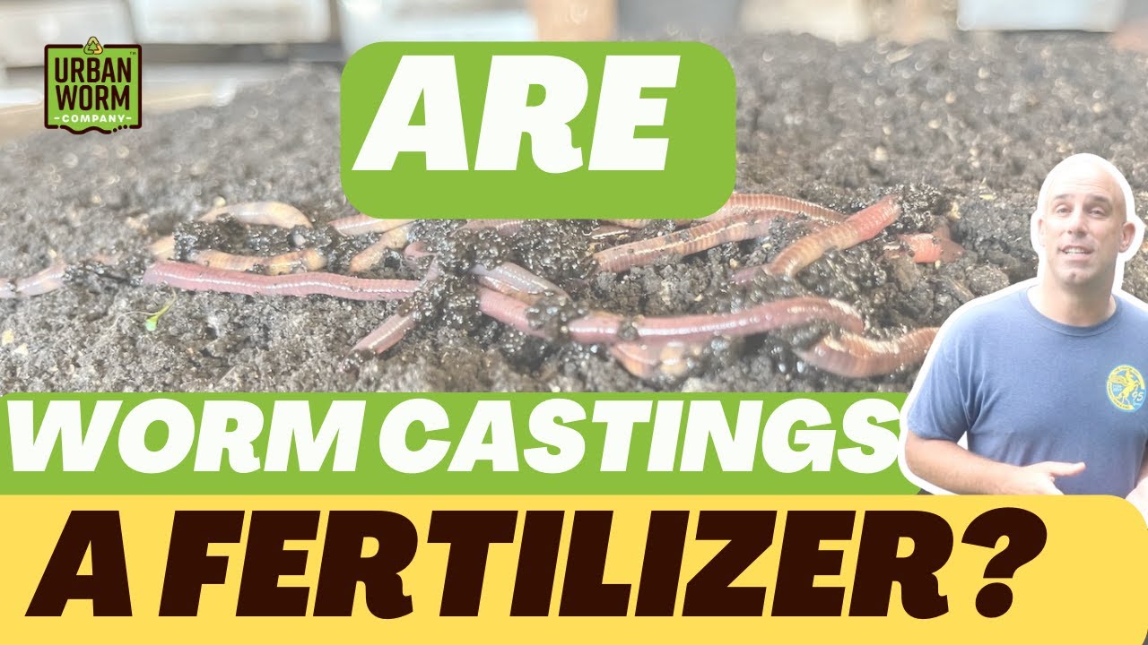 Are Worm Castings A Fertilizer?