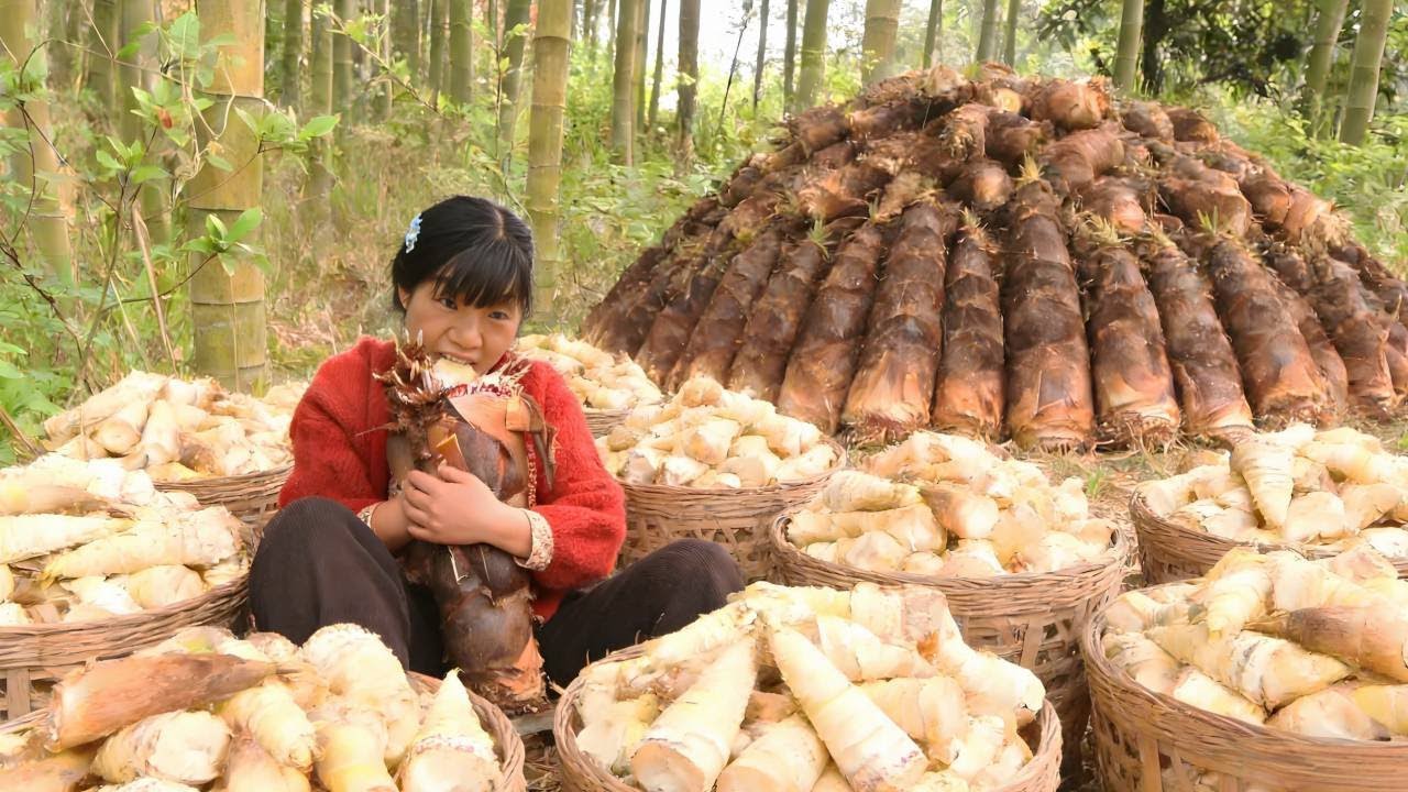 这位倔强的大叔也太可爱了！鲜笋只卖 8 毛一斤，拉着800斤进城摆摊太有干劲了！【燕麦行游】