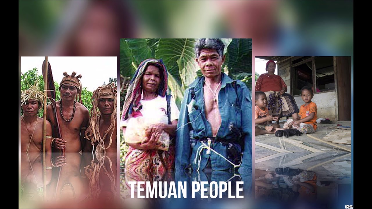 Temuan people