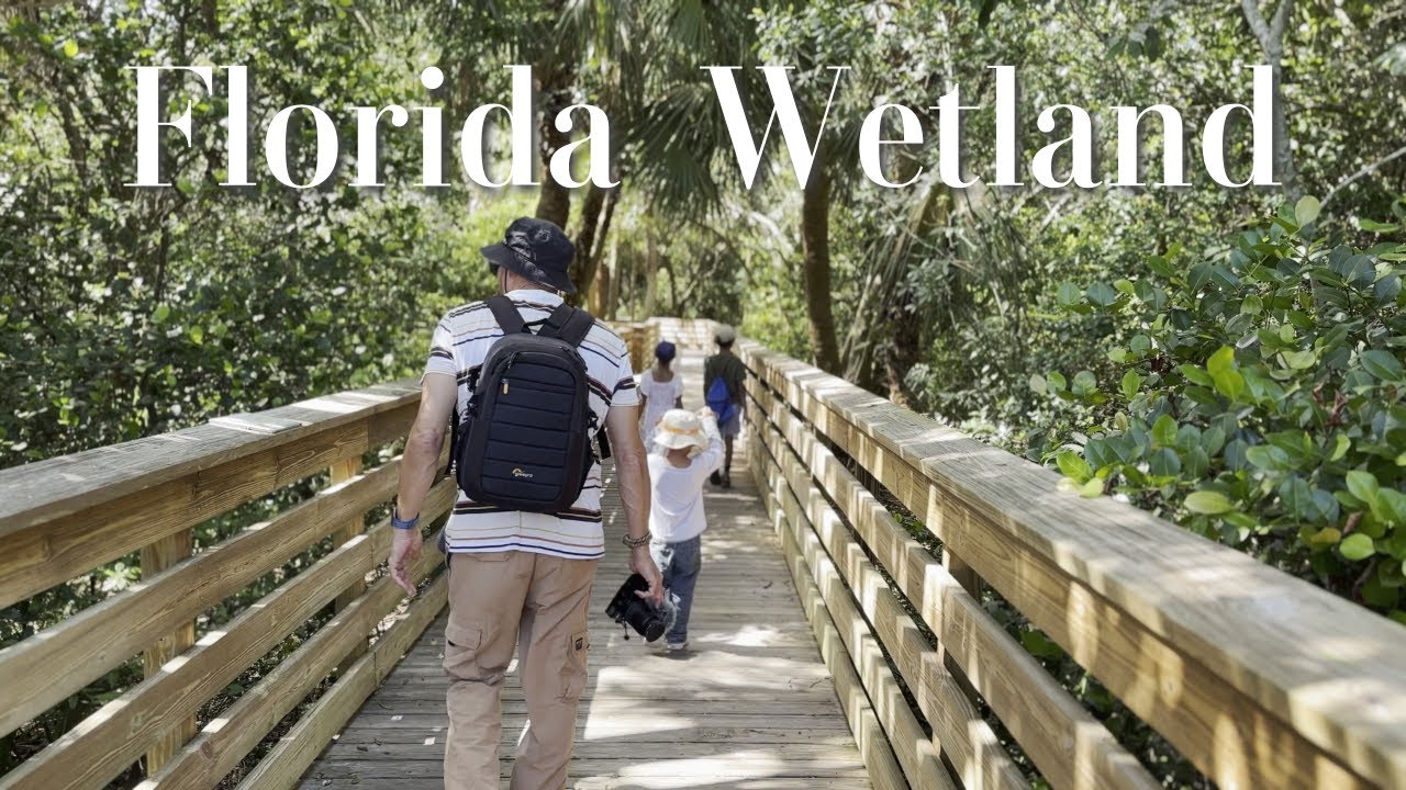 Relaxing Walk Through Beautiful Wetland | Florida Wildlife | Green Cay Nature Center & Wetland