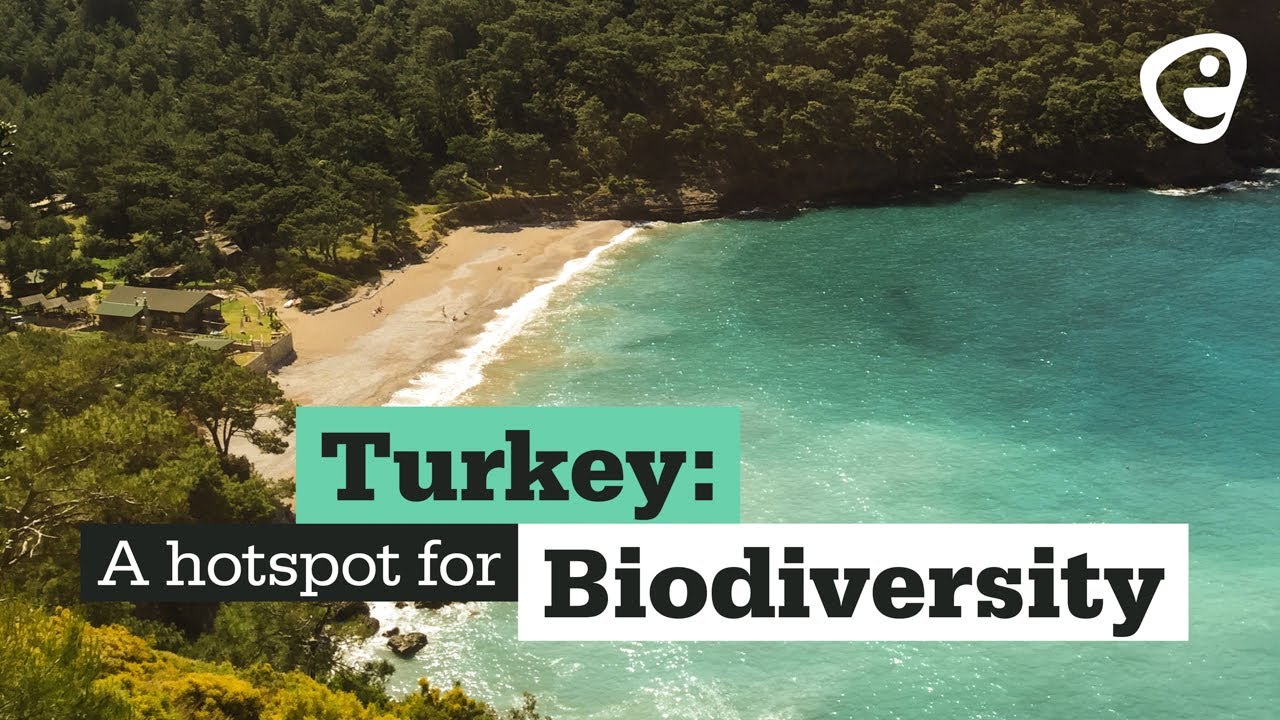 Turkey: A biodiversity hotspot