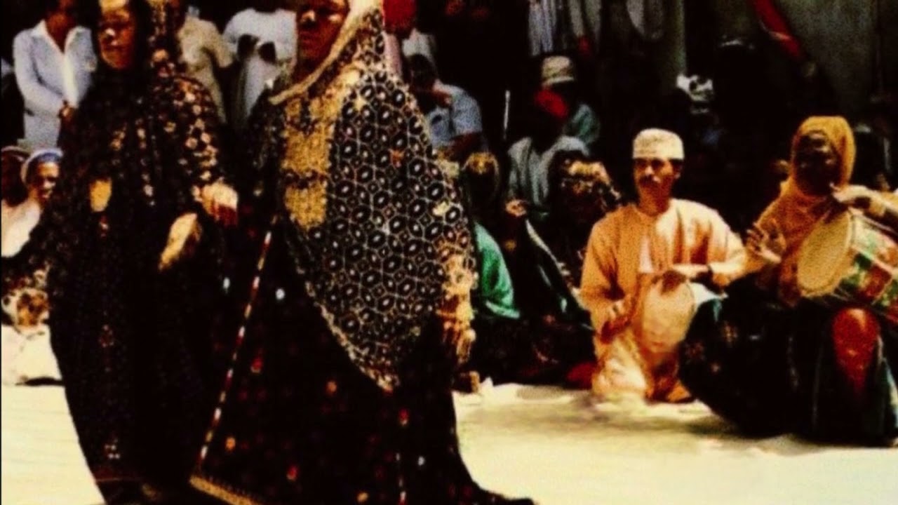 طبل أم حكيم (ورد كاذي)