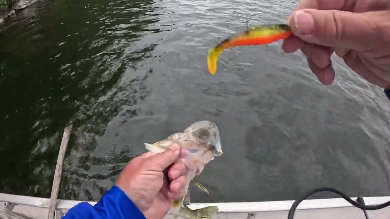 Dakota Angler returns to Eagle Lake - 2024