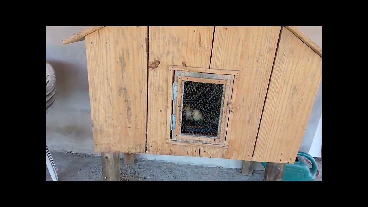 Venha ver essa linda chacara em carlópolis 