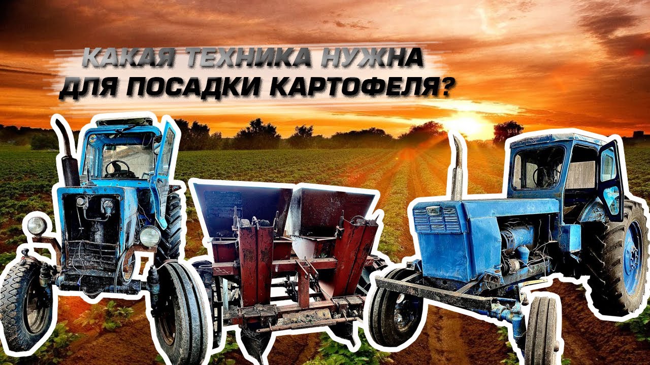 НАЧАТЬ С НУЛЯ! БИЗНЕС НА ВЫРАЩИВАНИЕ КАРТОФЕЛЯ! КАКАЯ ТЕХНИКА НУЖНА ЧТОБ НАЧАТЬ?