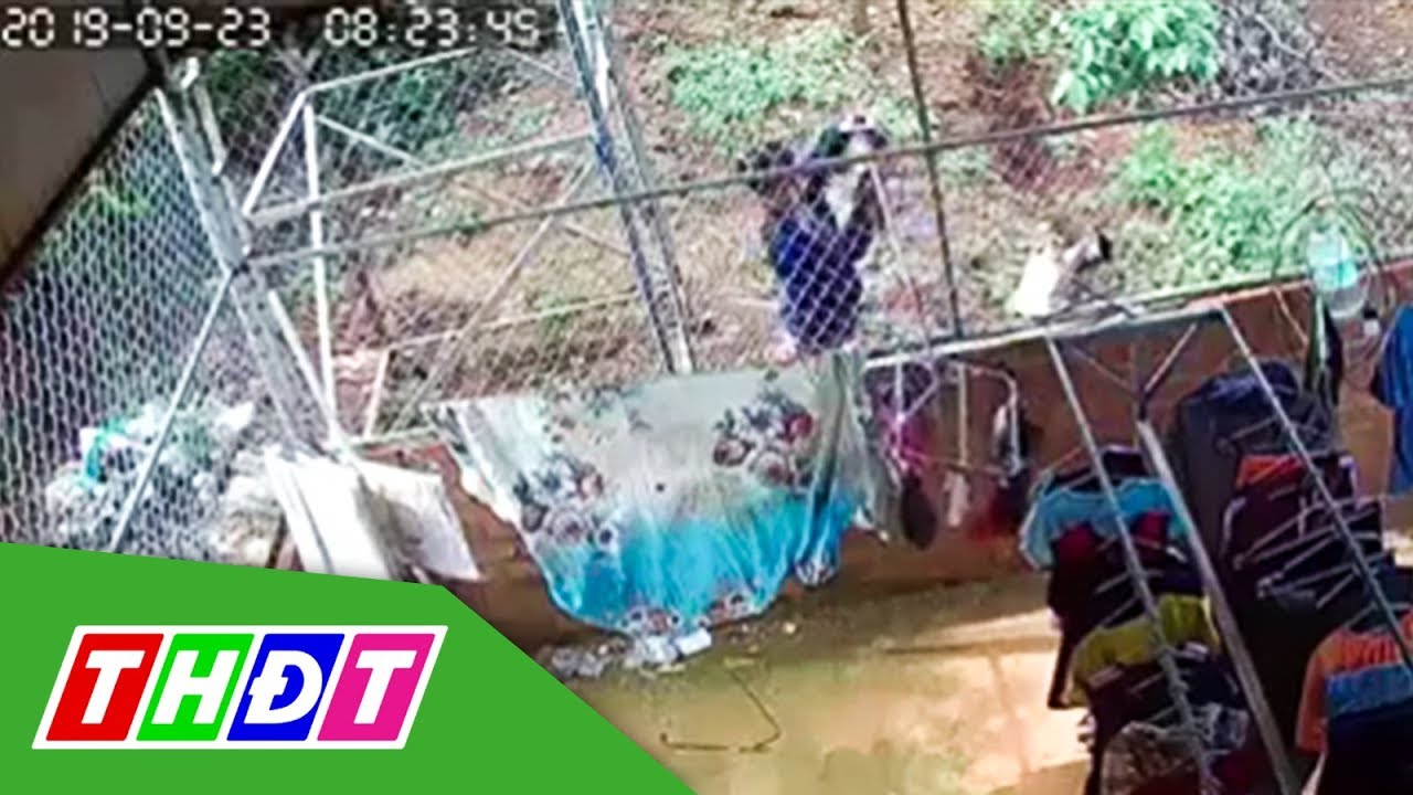 Camera ghi lại cảnh gã đàn ông trộm đồ lót phụ nữ | THDT