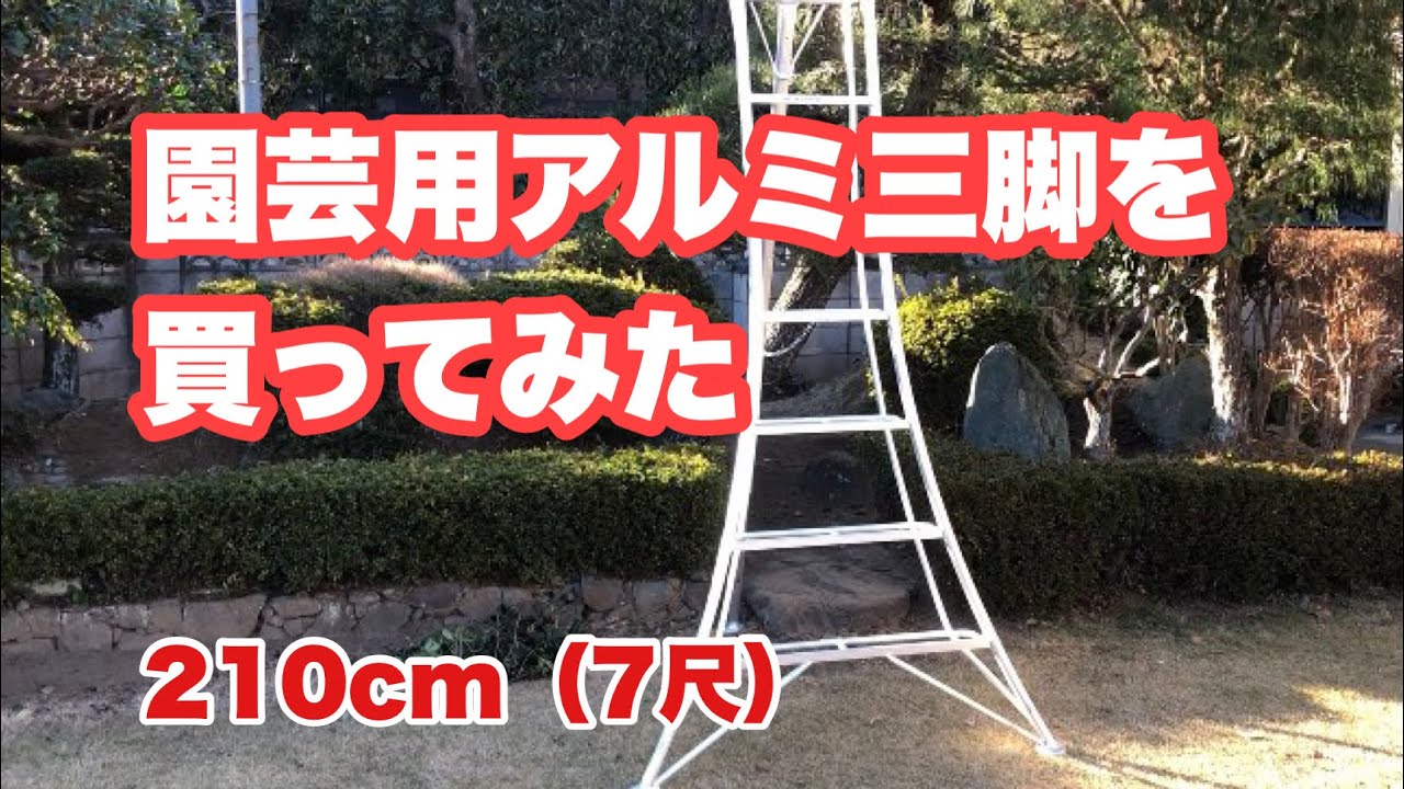 植木剪定はアルミ三脚必須です。購入したら安定抜群！高さ210cm（7尺）
