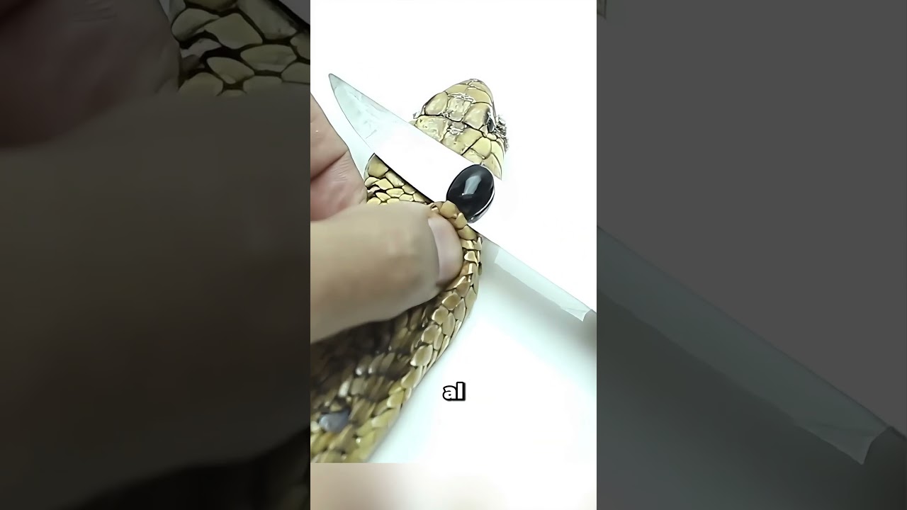 El Secreto Detr&aacute;s De La Piedra De La Serpiente 😱