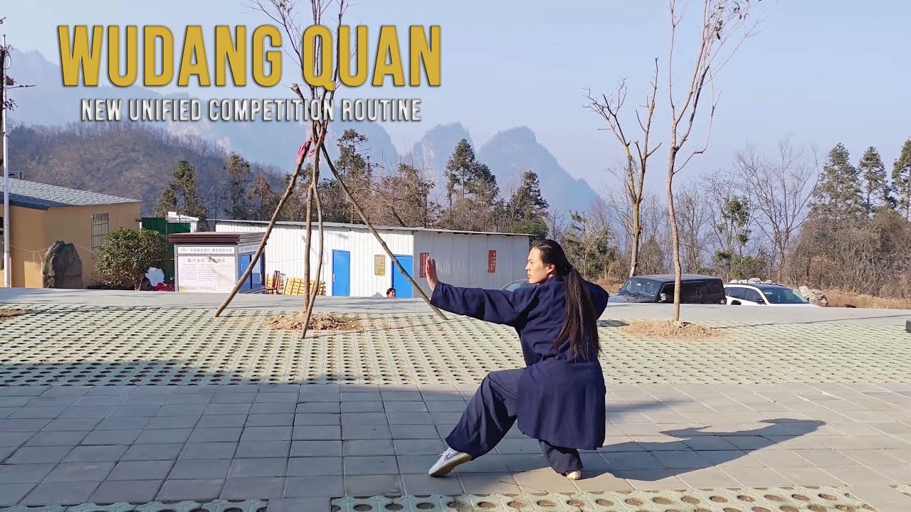 Wudang Quan Full Competition Routine | New Unified Form Demonstration
