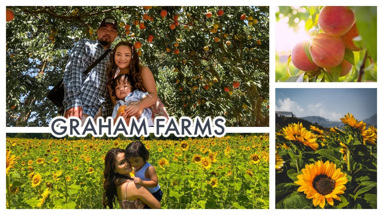 Mother's Day at GRAHAM'S U PICK PEACHES FARM!