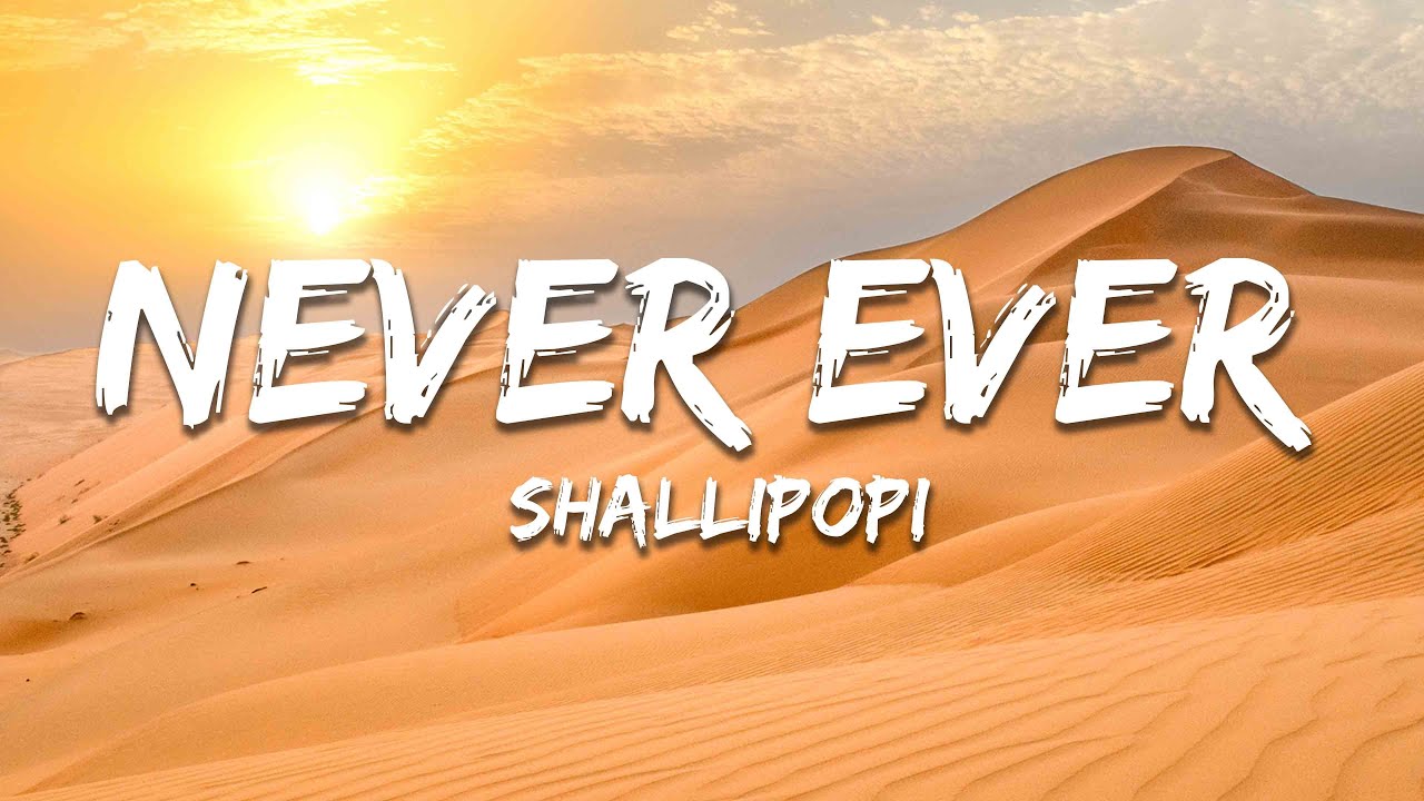 Shallipopi - Never Ever (Lyrics)