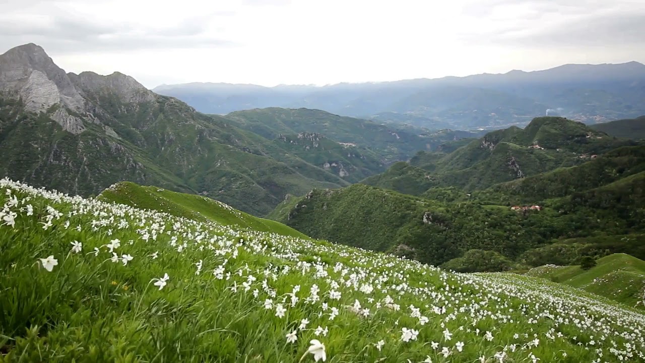Sonido de Viento Silbando en las Montañas - Sound of Wind Whistling in the Mountains