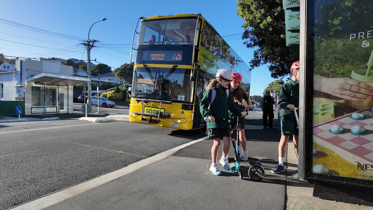 (4K) Summer Morning Walk | My Home to the Bus Stop | Island Bay (Wellington, NZ) | February 2026
