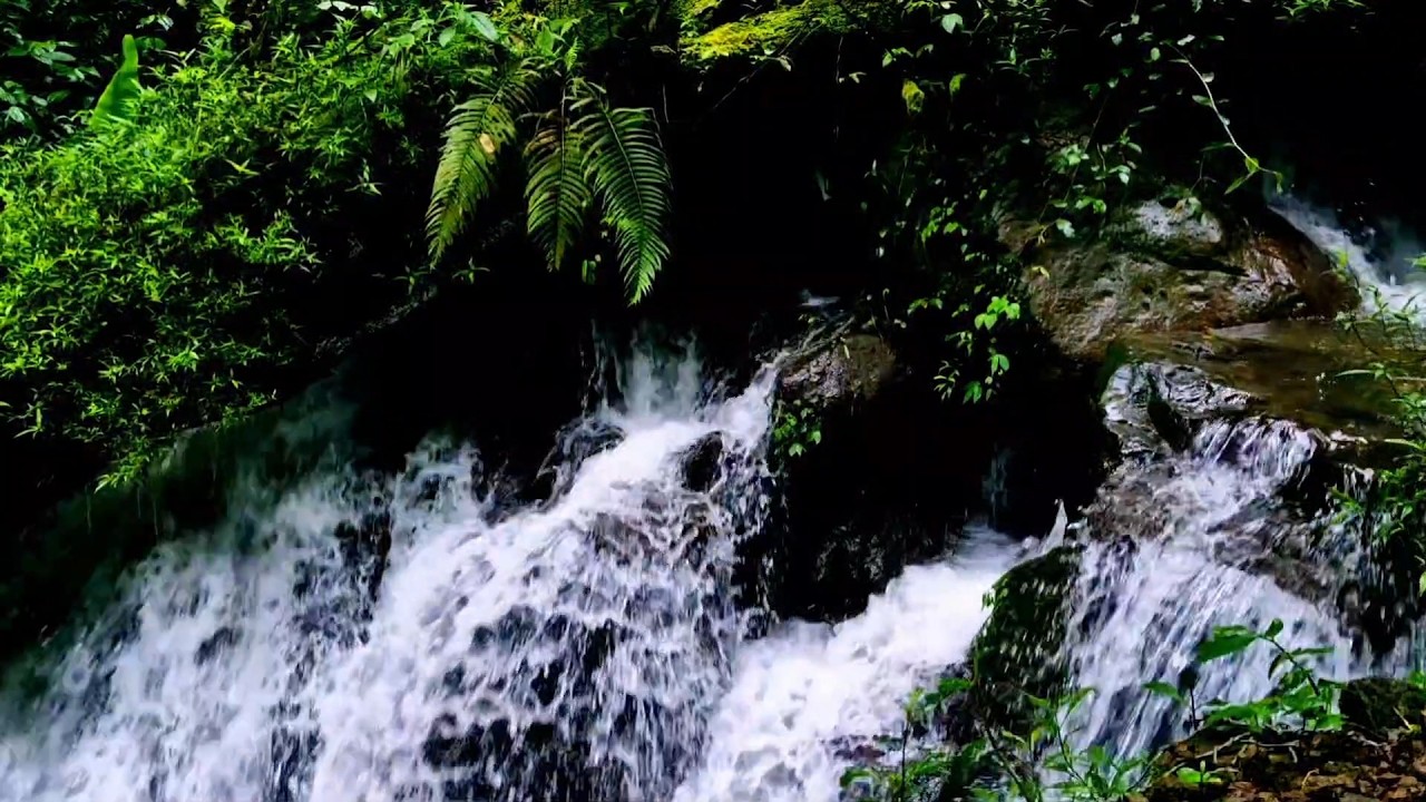Peaceful River Ambience  No Music, Just Flowing Water