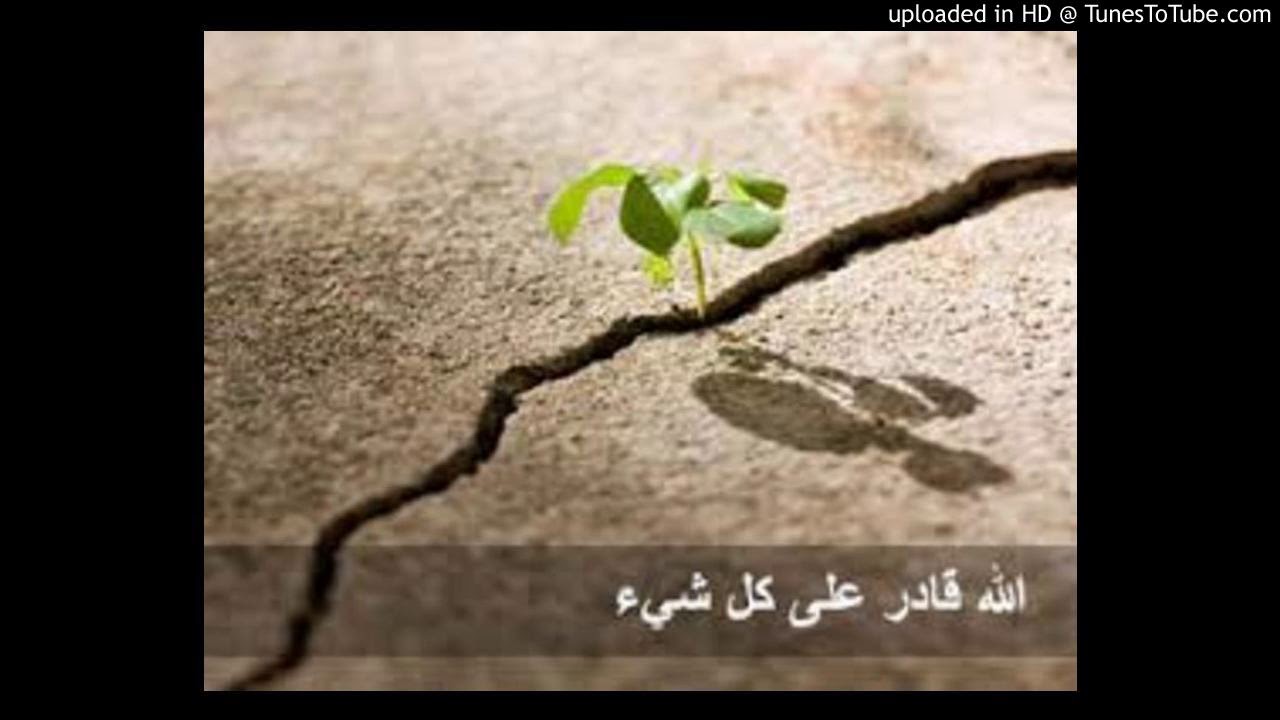 الشيخ المهندس/ محمد المقرمي: إذن الله - مقطع صوتي