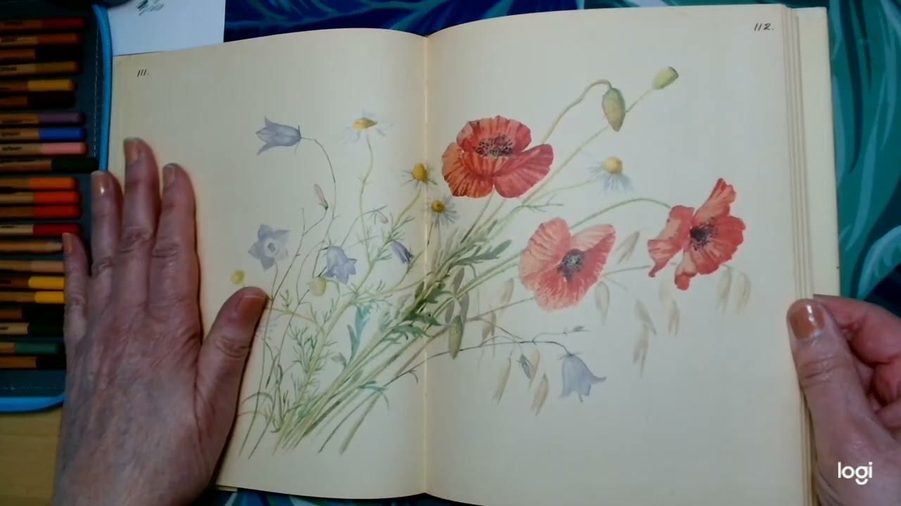 Journal champêtre Edith Holden