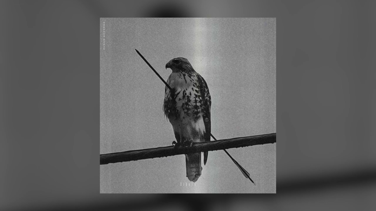 Vibera - Предал Друга