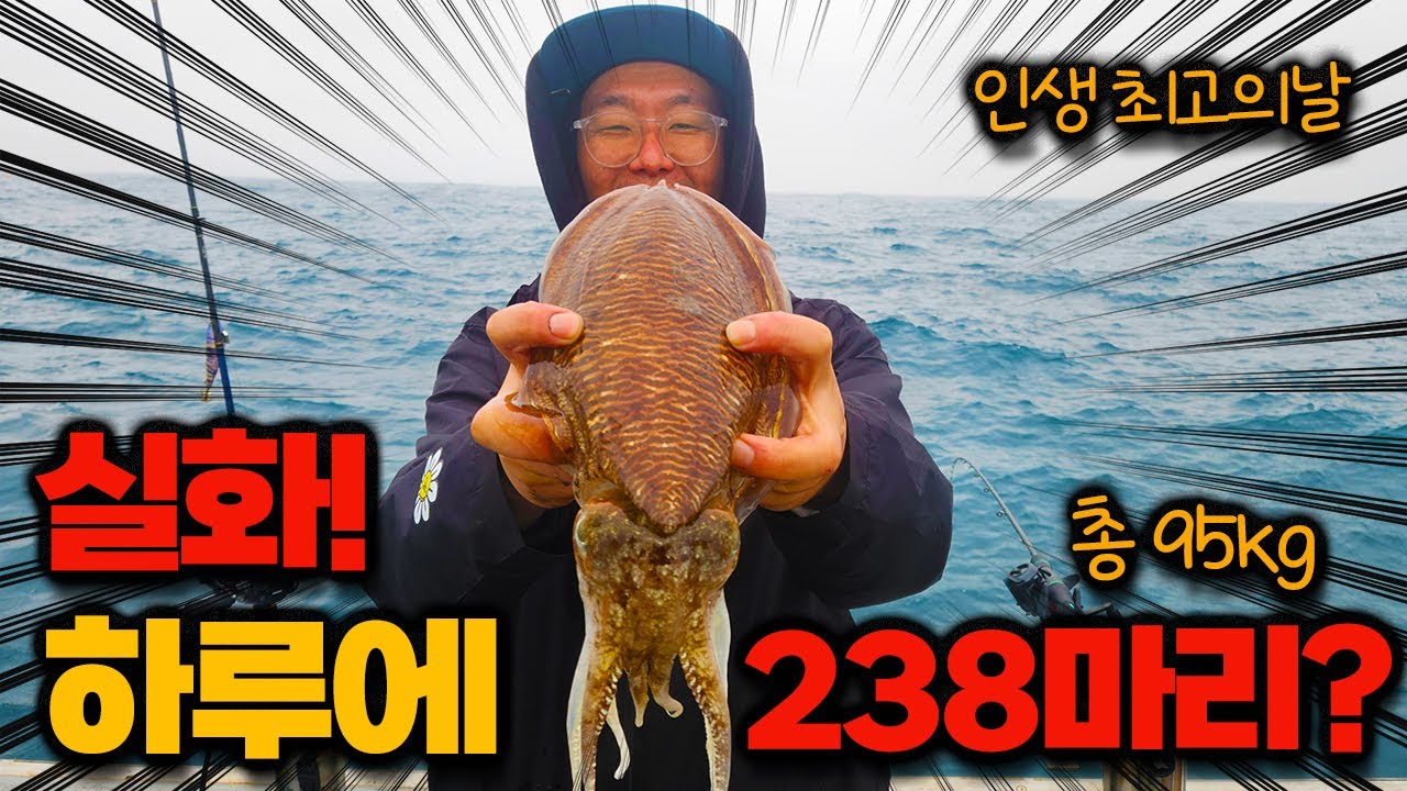 역대급 조황에 제주도 어부도 깜짝 놀랐다!! 갑오징어가 환장하고 달라붙네요 낚시대가 모자랍니다