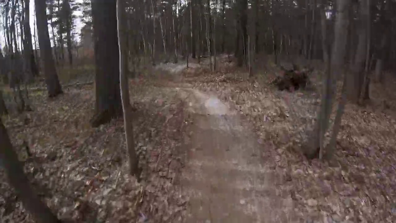 Olson Road Trailhead