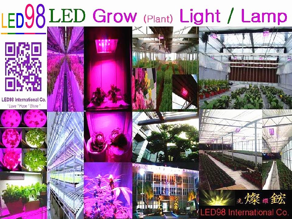 LED Lighting Supplier : LED98 International Co. 燦鋐LED燈LED照明