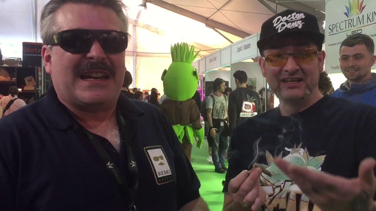 Urbanremo and Doctor Denz, spannabis