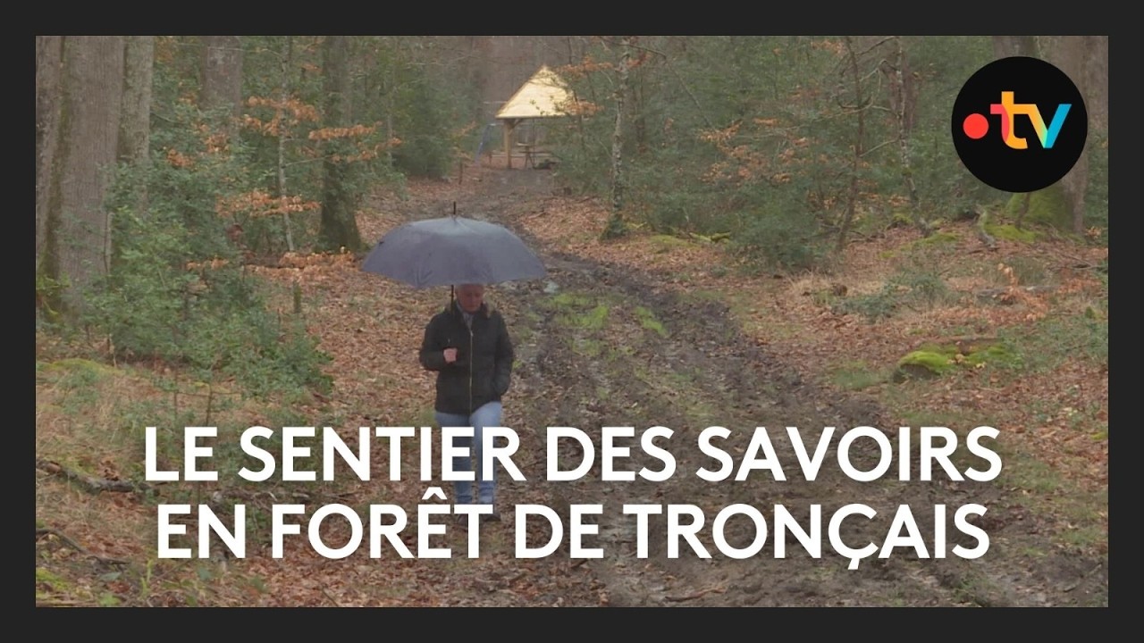 Dans la forêt de Tronçais, le “Sentier des savoirs” prend racine