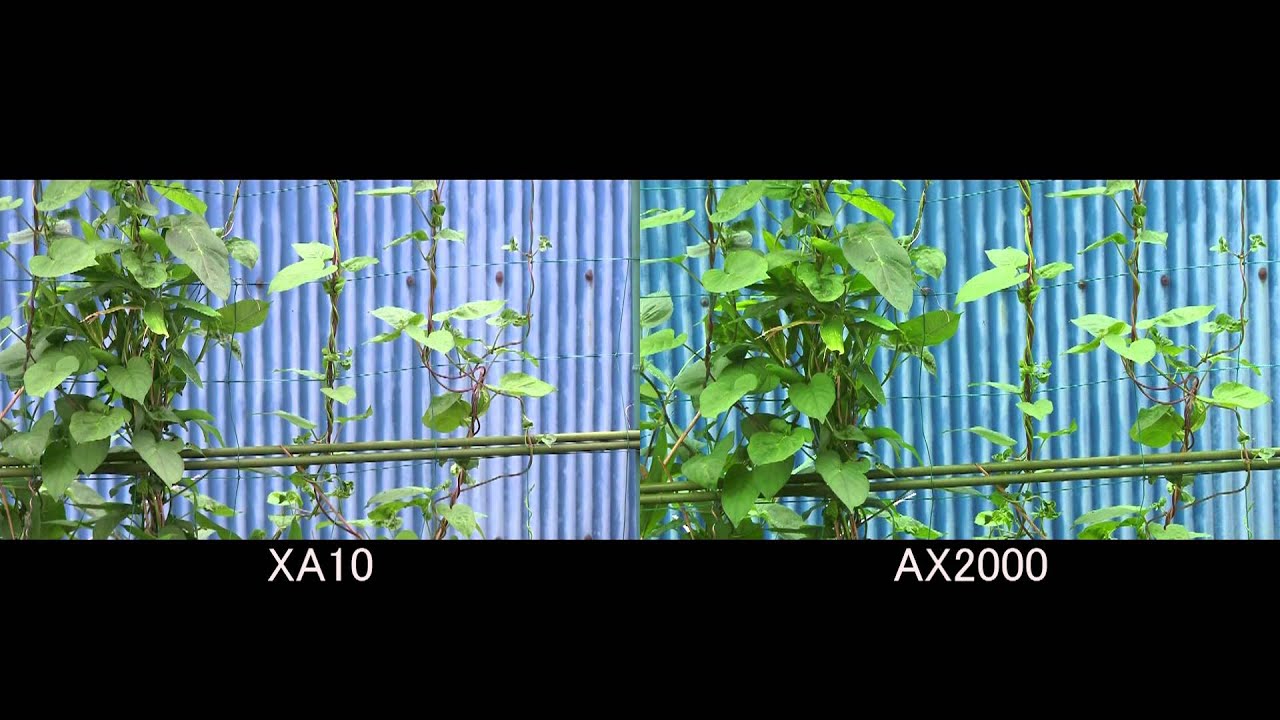canon XA10 vs sony HDR-AX2000　フルHD 60 i