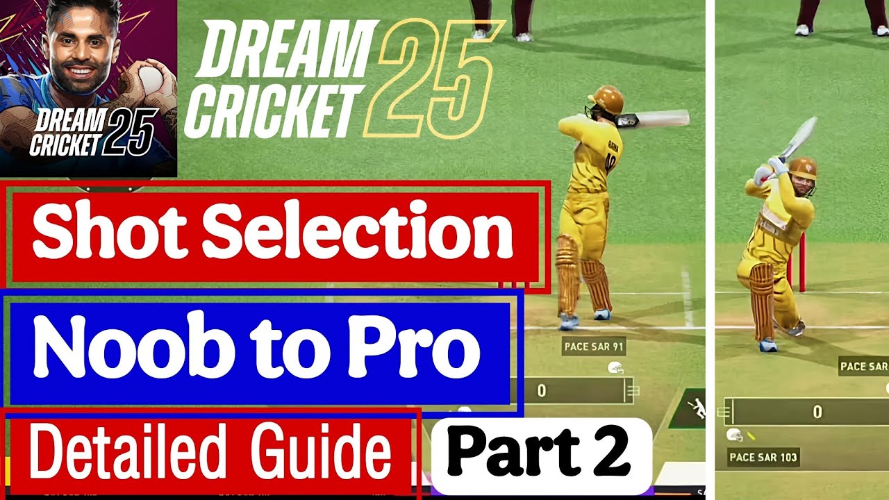 Dream Cricket 25 Batting tips (part 2), Shot selection Noob to Pro guide