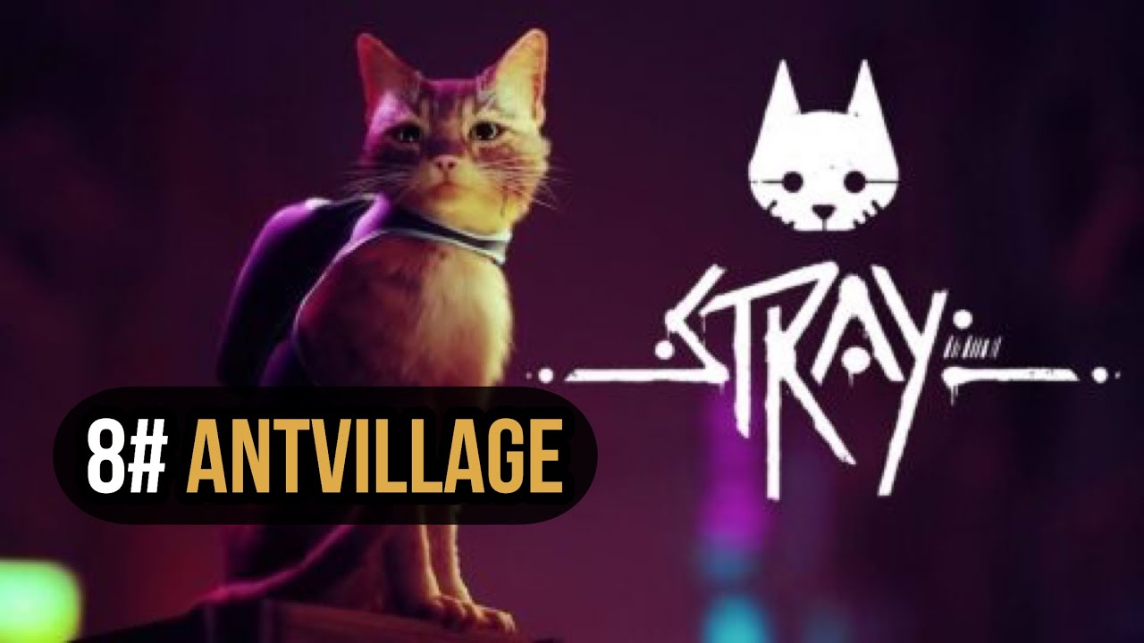 Stray AntVillage