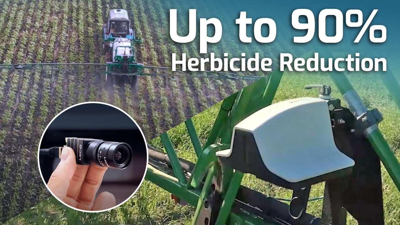 AI Precision Weed Control in Agriculture with LUCID&rsquo;s Phoenix Cameras