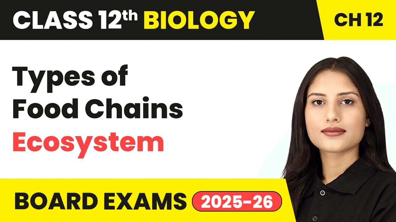 Types of Food Chains - Ecosystem | Class 12 Biology Chapter 12 | CBSE 2025-26