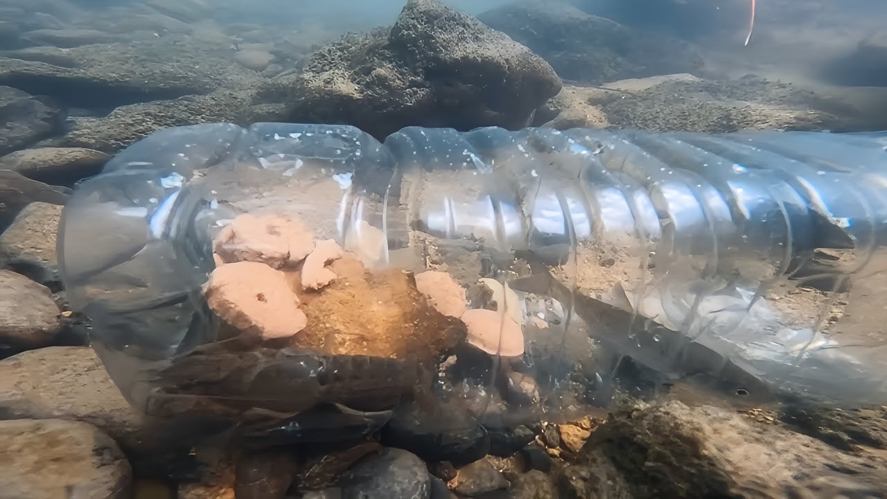 Comment faire un PIEGE à POISSONS et ECREVISSES ? (Technique de survie en rivière)