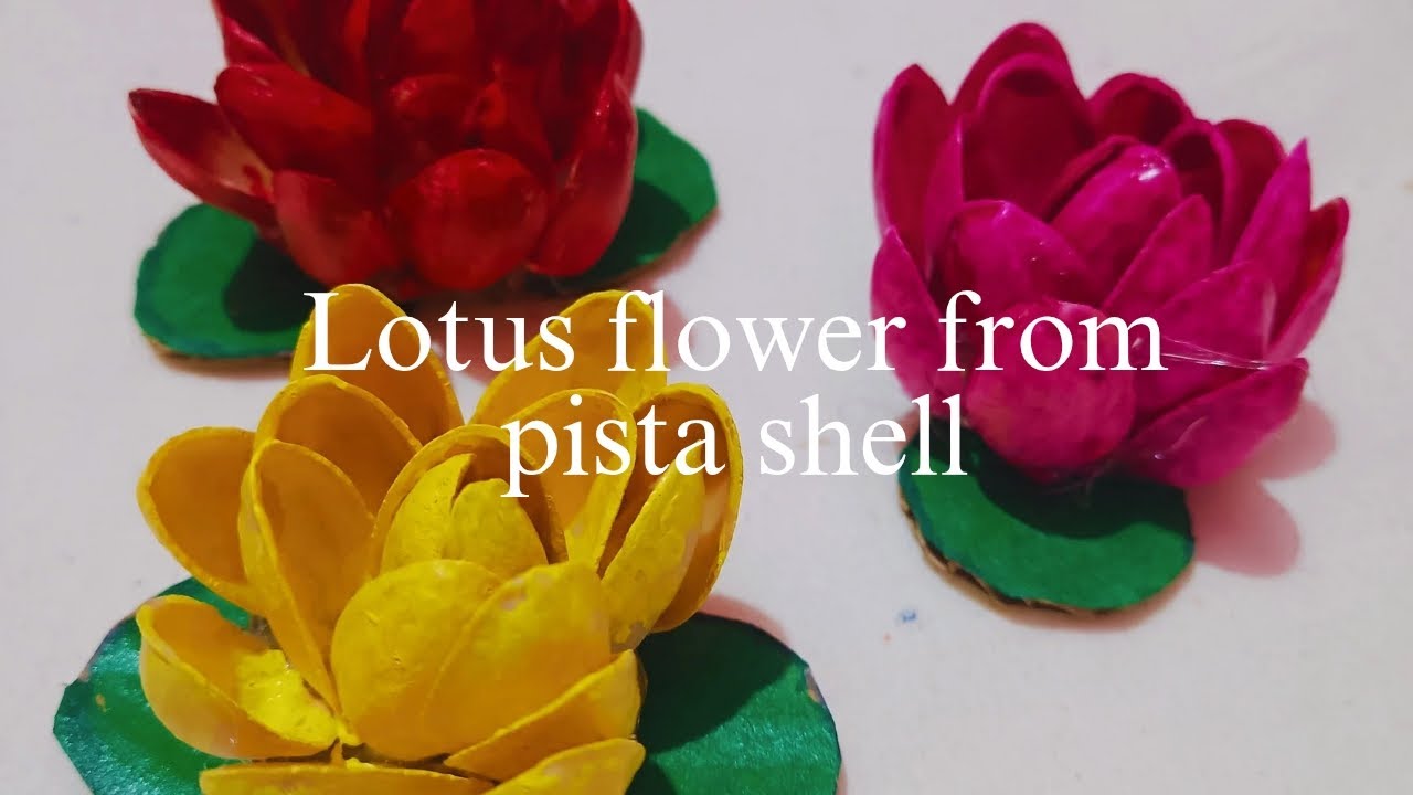 Lotus flower from pista shell 🪷| Easy to make | Home decoration | Hand made 