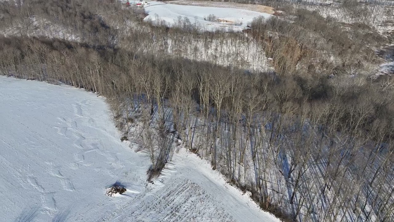 Tract 2 Morris Ridge Rd., Woodsfield, OH 43793 From SW Corner Moving North along West Side 1