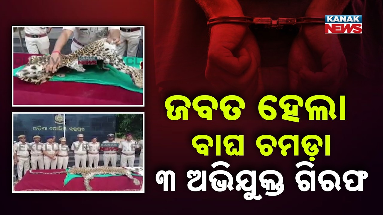Reporter Live: Illegal Tiger Skin Trade Exposed, 3 Held in Ganjam