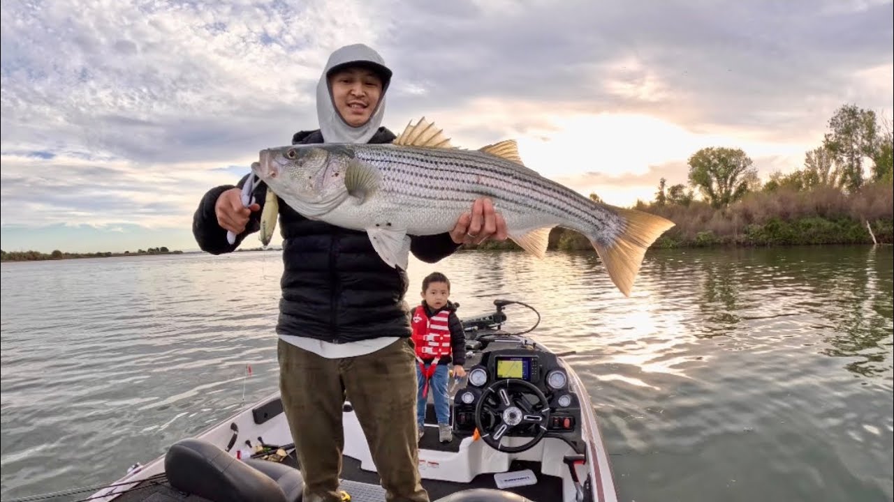 CA Delta Striper Run Is Here!