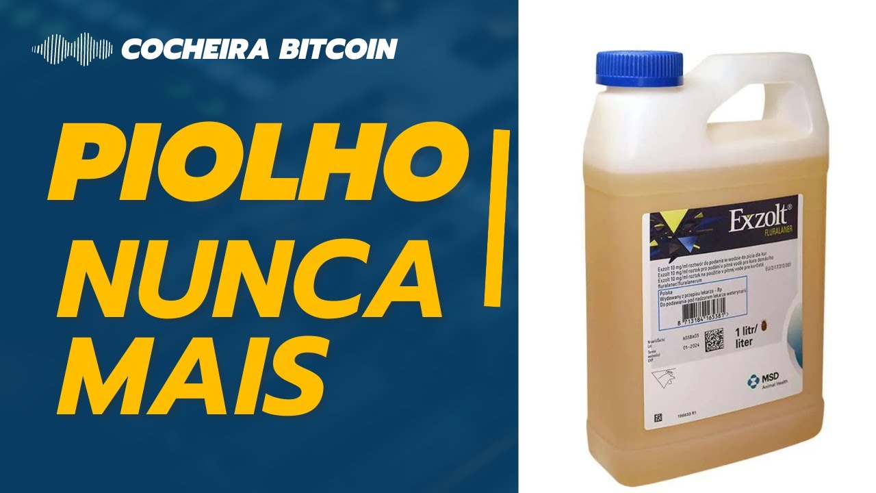 EXZOLT O MELHOR MEDICAMENTO PARA PIOLHOS EM GALOS E GALINHAS
