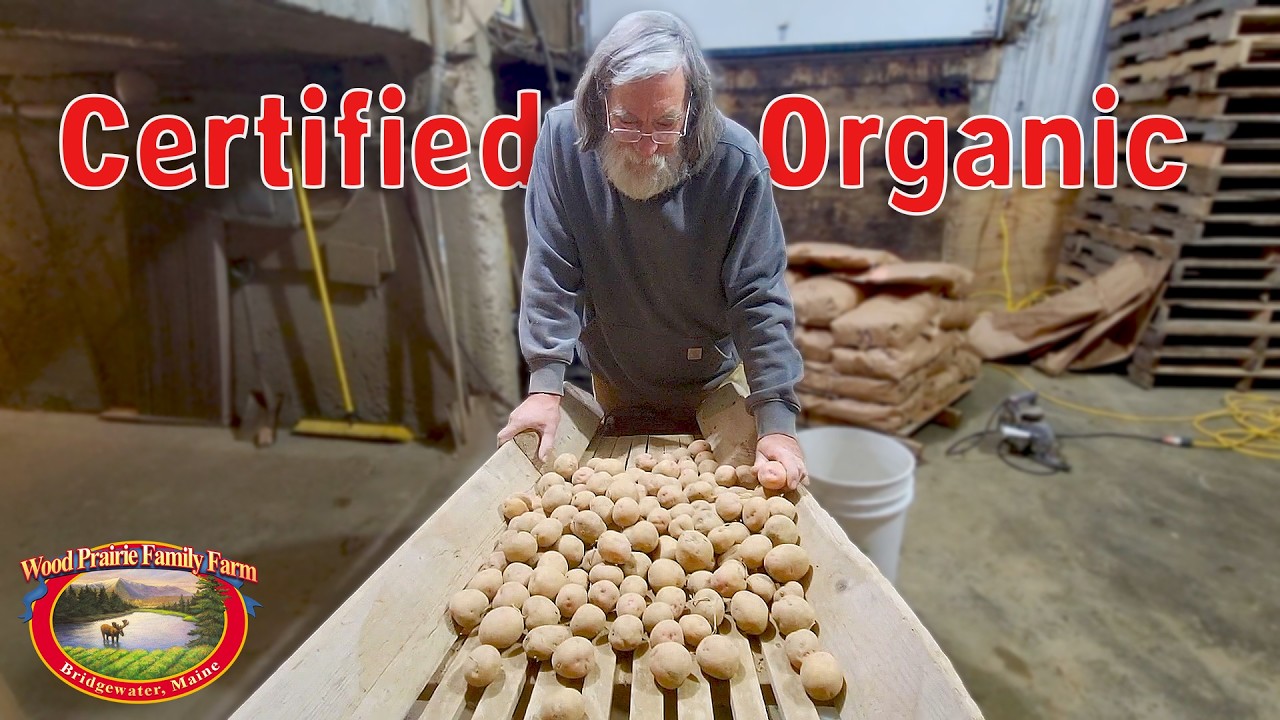 How Organic Maine Certified Seed Potatoes Became a Game Changer