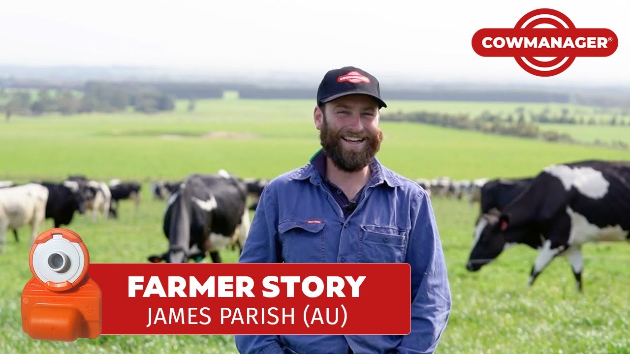 Ear Tags Boosts Herd Health | James Parish #cowmanager #australia #dairyfarming #herdhealth
