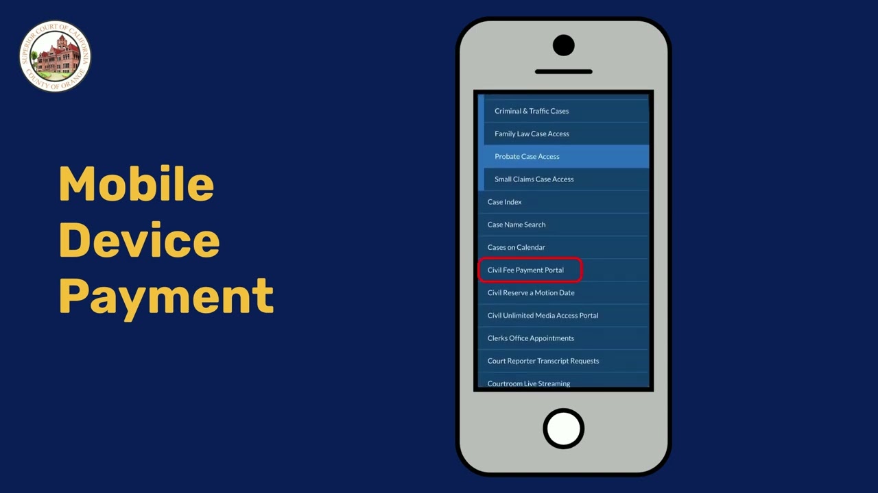 Complex Fee Payment Portal Video