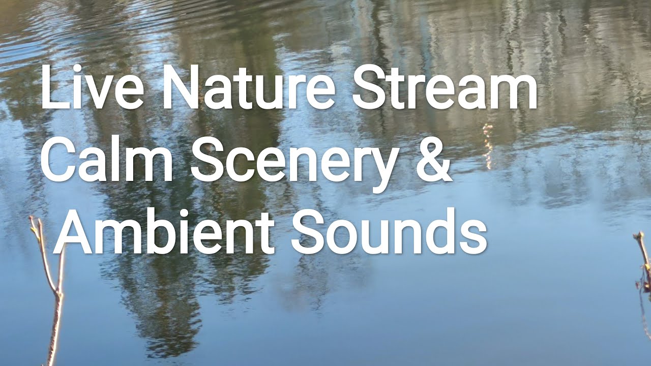 🌿 Live Nature Stream | Calm Scenery & Ambient Sounds; stress Relief, Meditation & Deep Sleep