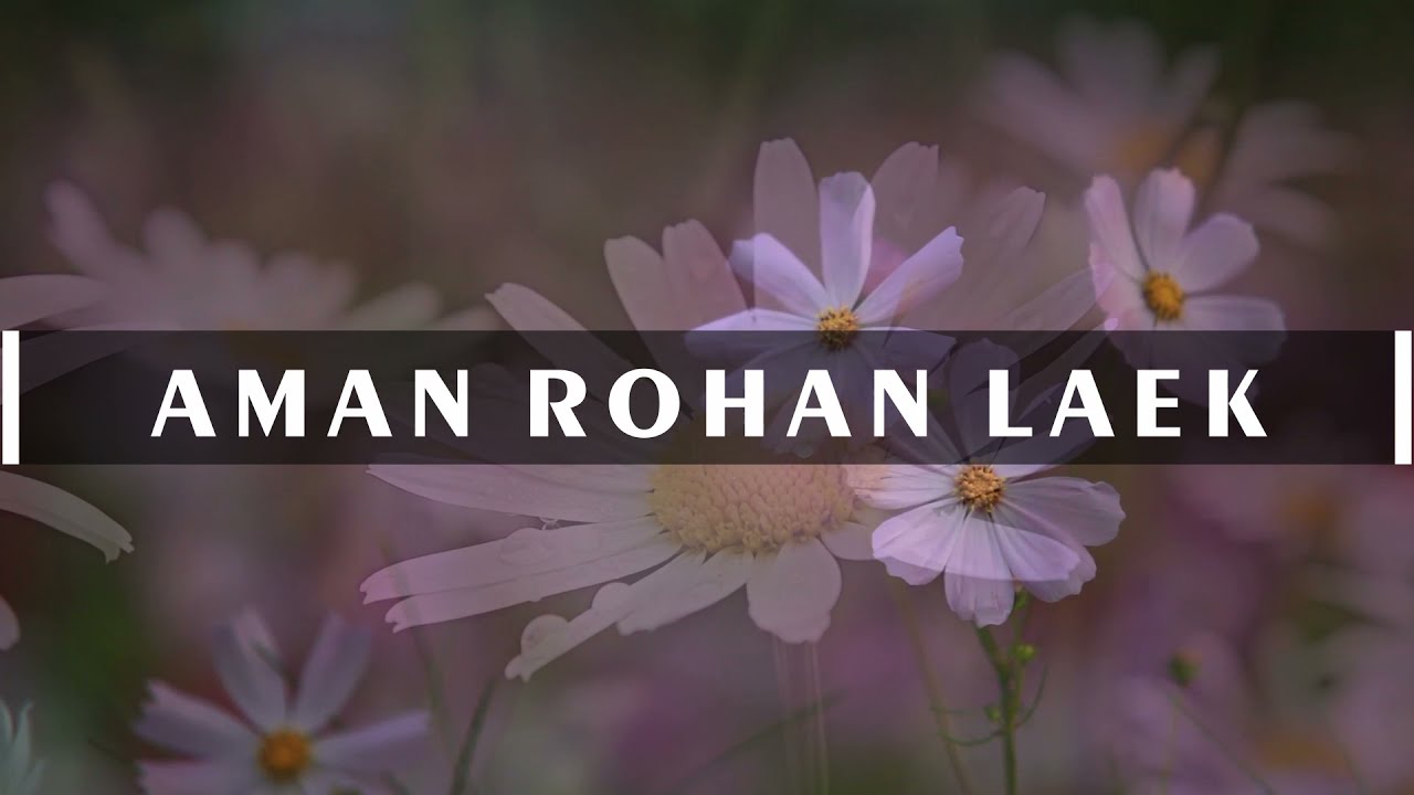 Aman rohan laek